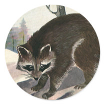 Raccoon stickers