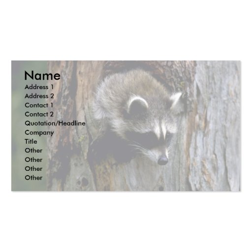Raccoon-Summer-youngster in hollow tree Business Card Template (front side)