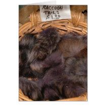 Raccoon Tails cards