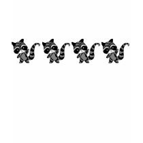 raccoon tee t-shirts