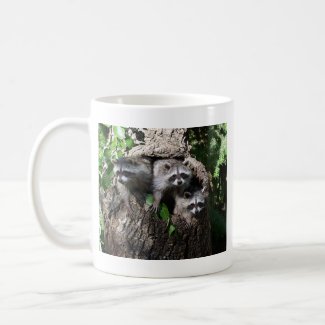 Raccoon - The Three Amigos Mug