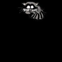 Raccoon t-shirts