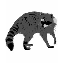 Raccoon t-shirts by proart Raccoon t-shirts