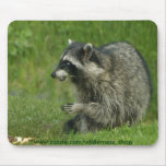 Raccoon Wildlife humour Mousepad