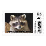 raccoon, www.ZoovilleUSA.com postage