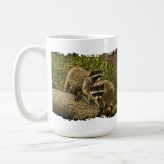 Raccoons Coffee Mugs