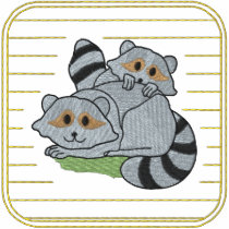 Raccoons embroidered shirts