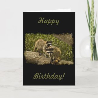 Raccoons Greeting Card