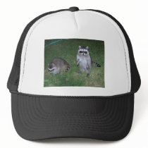 Raccoons hats