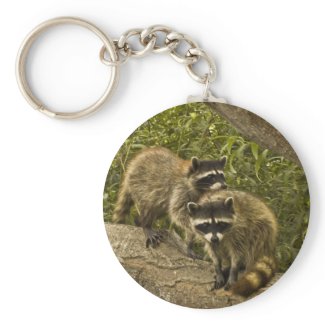 Raccoons Keychain