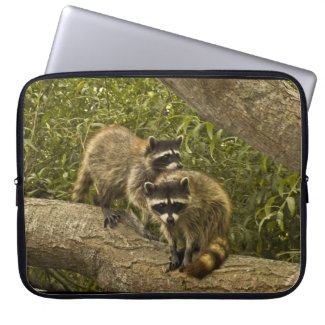 Raccoons Laptop Sleeve