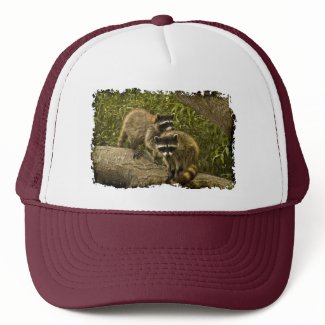 Raccoons Mesh Hat