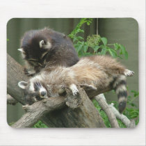 Raccoons mousepads