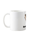 Raccoons Rule! mugs