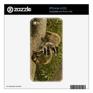Raccoons Skins For Iphone 4s