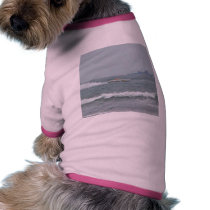 Race Boats pet clothing by lifesphere Race Boats pet clothing