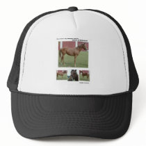 RACE HORSE HAT