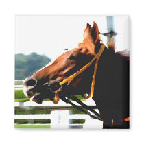 Race Horse magnet