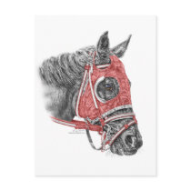 Race Horse Portrait postcards