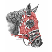 Race Horse Portrait t-shirts
