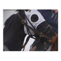 Race Horse Postcard postcards