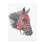 Race Horse Red Silks Portrait Post Cards