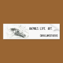 racehorse bumper sticker bumper stickers