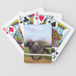 Racehorse Playing Cards