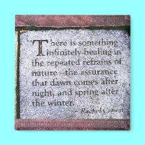 Rachel Carson Quote Magnet magnets