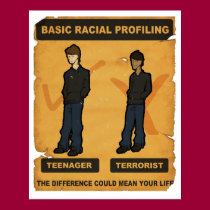 Racial Profiling posters