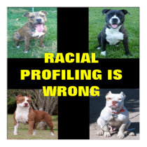 Racial Profiling Posters