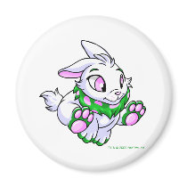 Racing green Cybunny magnets