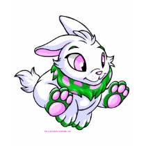 Racing green Cybunny t-shirts