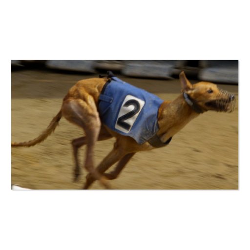 Racing Greyhound Dog Business Card (back side)