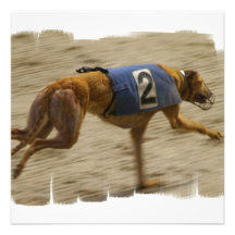 Racing Greyhound Dog Invitation