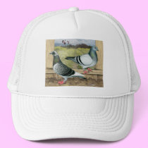 Racing Homers in Loft hats