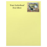 Racing Homers in Loft Letterhead