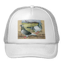 Racing Homers in Loft Mesh Hat