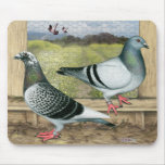Racing Homers in Loft Mouse Pads