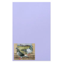 Racing Homers in Loft Personalized Stationery