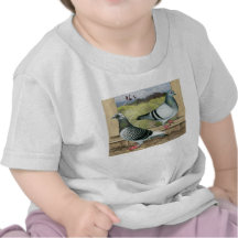 Racing Homers in Loft T-shirt