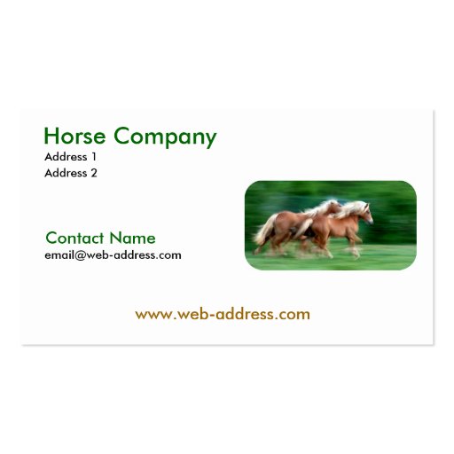 Racing Palomino Business Cards (front side)
