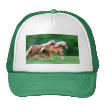 Racing Palomino Horses Baseball Hat