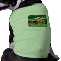 Racing Palomino Horses Dog Shirt