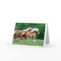 Racing Palomino Horses Greeting Card