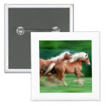 Racing Palomino Horses Square Button