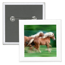Racing Palomino Horses Square Button