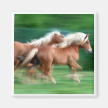 Racing Palomino Horses Square Magnet