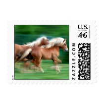 Racing Palomino Postage Stamps