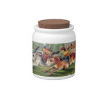 Racing Rabbits with Chicken Jockeys  - Funny Races Candy Jar